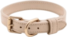 Jala Vegan-Leather Dog Collar