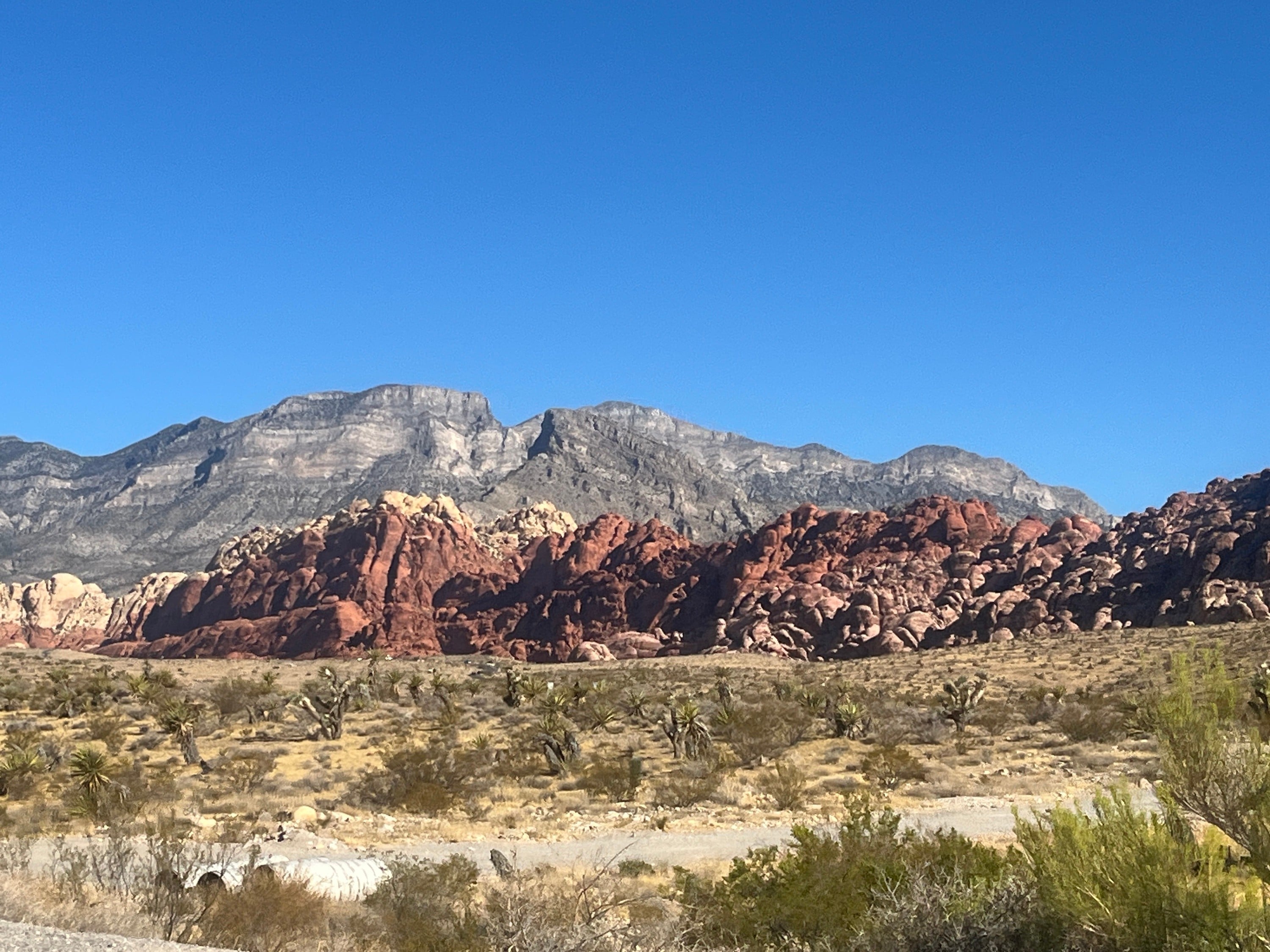 Red Rock Canyon Scenic Loop
