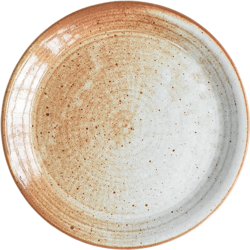 Artisan Hand Thrown Dinner Plate
