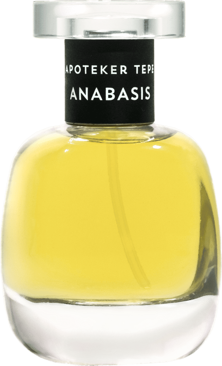 Anabasis (Apoteker Tepe)