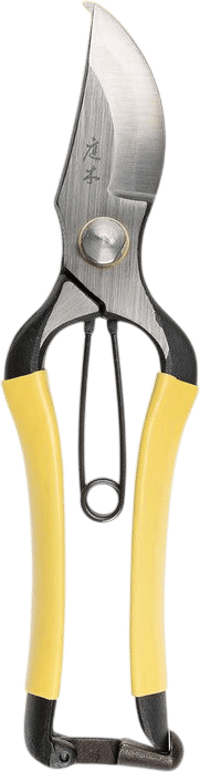 essential pruners