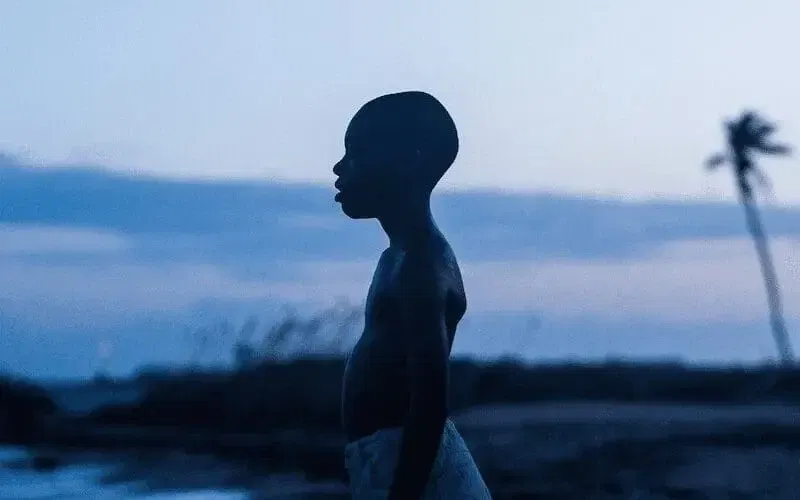 the art of cinematography