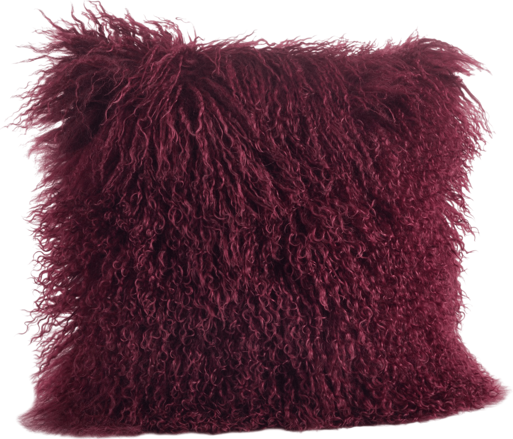 Iyana Wool Throw Pillow