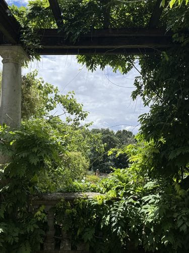 The Hill Garden and Pergola (London)