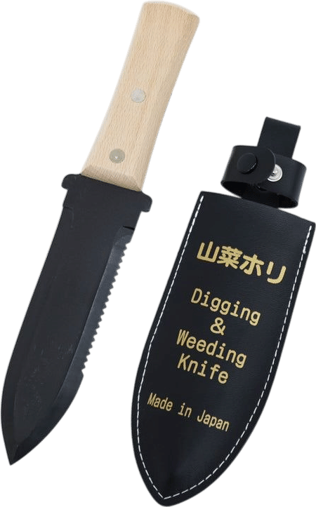 Hori Hori