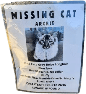 Snap a photo of lost pets signs