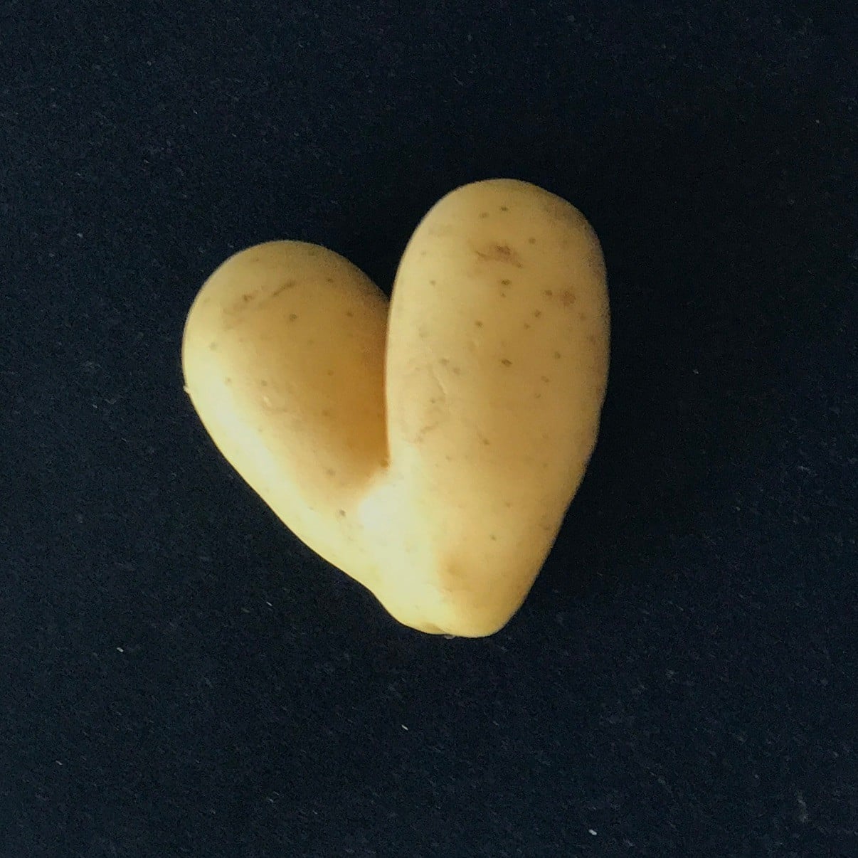 Coups de Coeur
