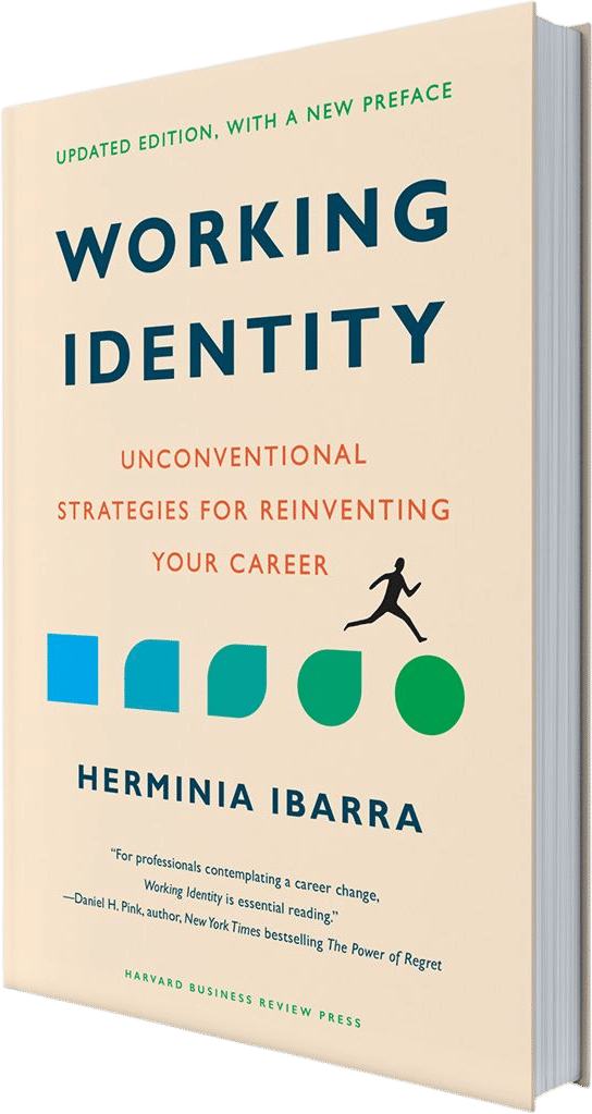 Working Identity- Hermina Ibarra