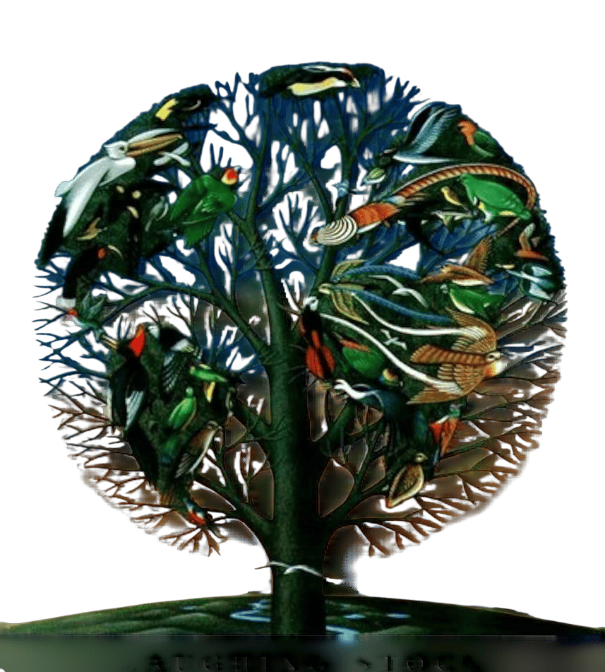 Laughing Stock by Talk Talk (1991)