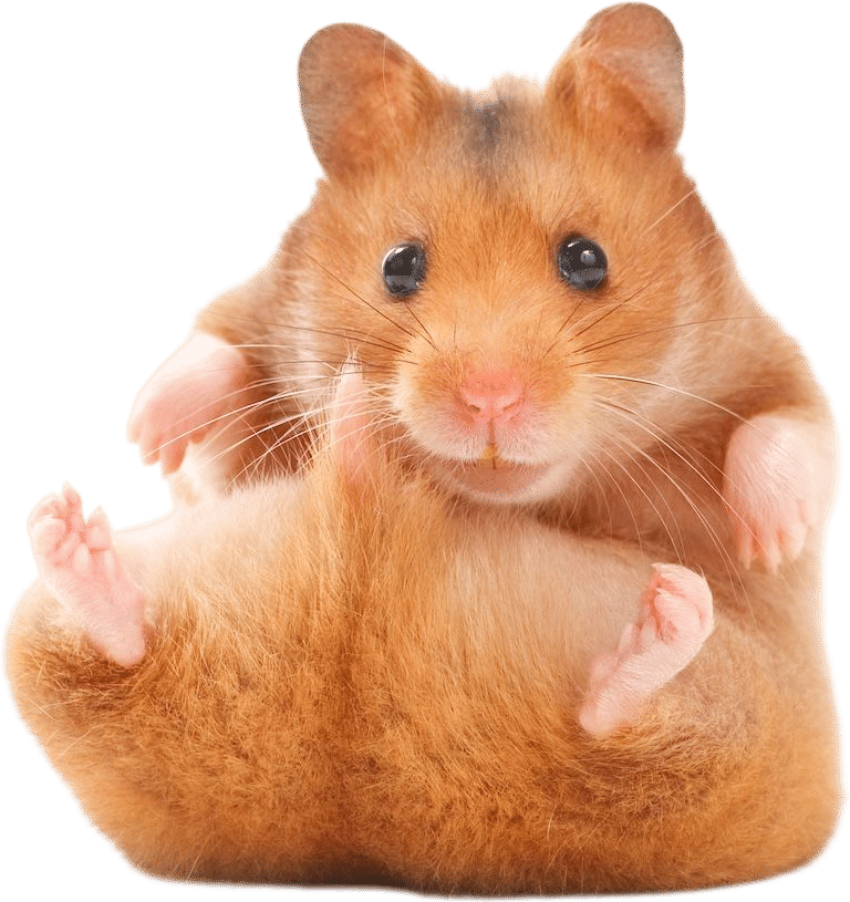 1-800-HAMSTER