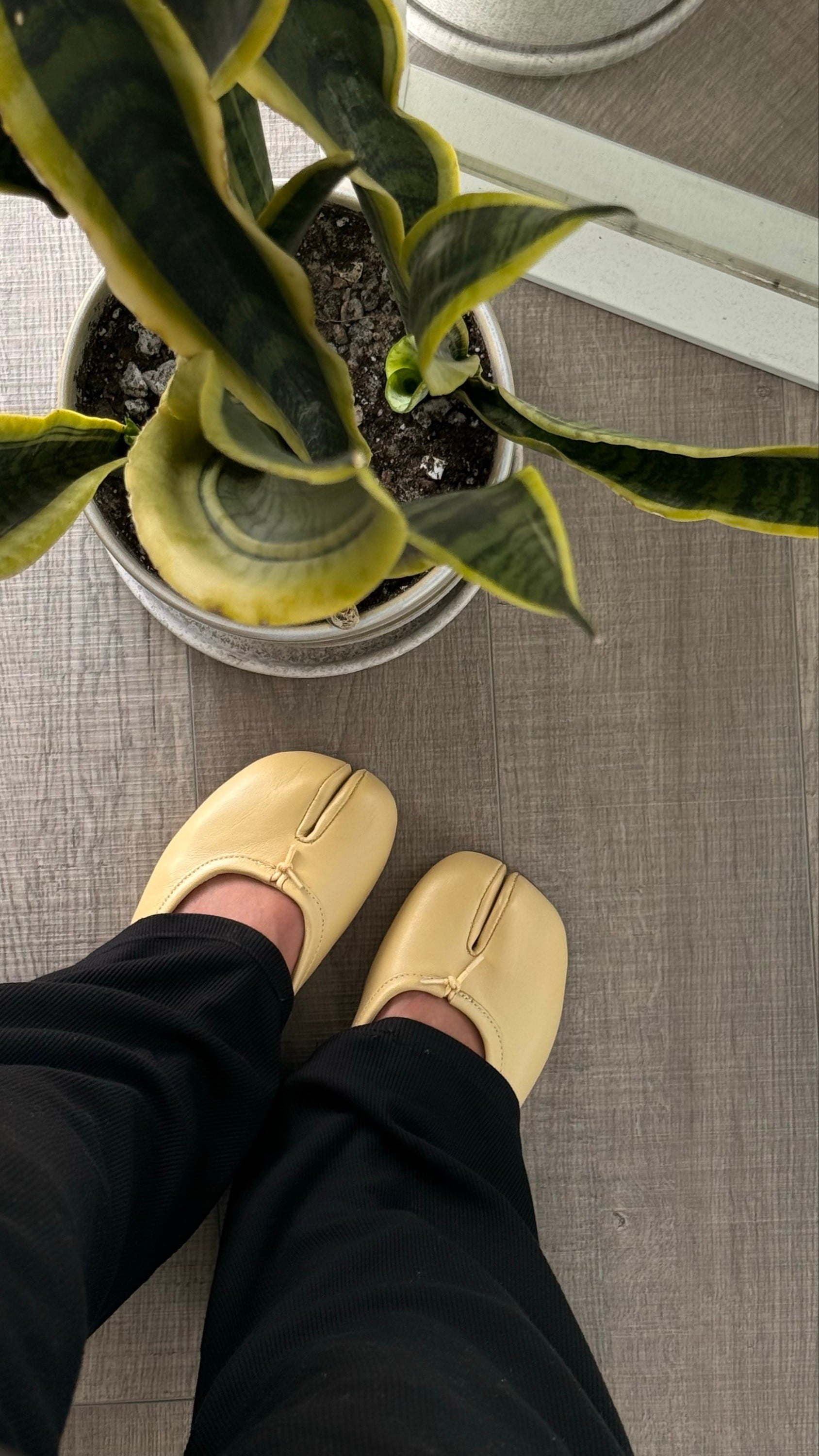 TABI Split toe in yellow butter leather