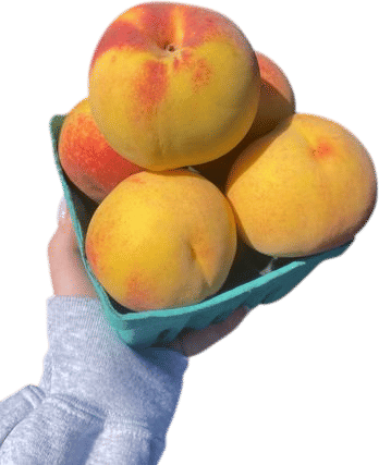 Stone Fruit