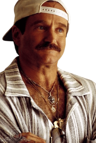 robin williams in the birdcage