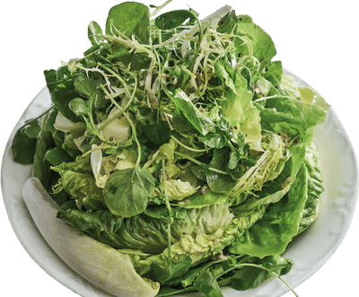 Via Carota's Insalata Verde Recipe