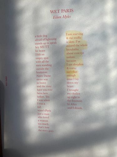 Wet Paris by Eileen Myles