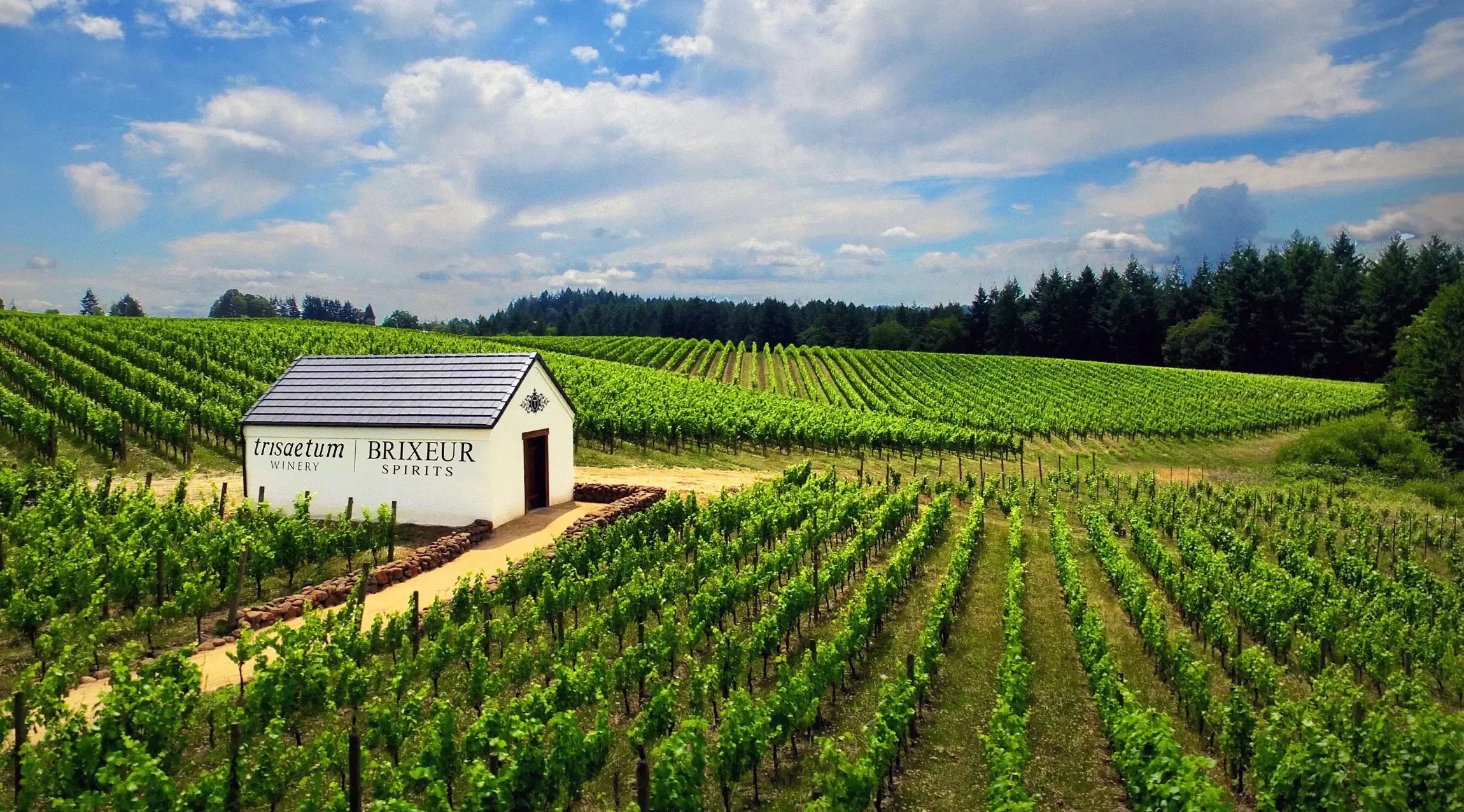 Trisaetum Winery