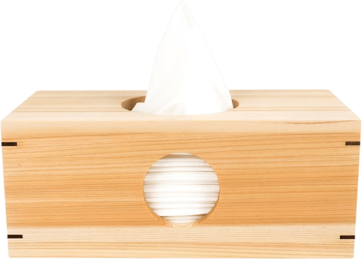 Hinoki Tissue Box by Canoe
