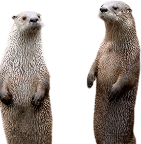Prospect Park Zoo