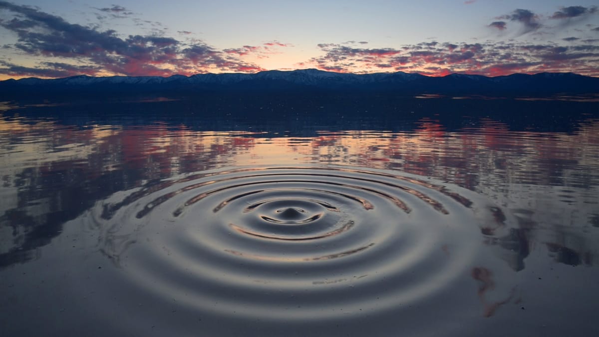 Seism — LACHLAN TURCZAN