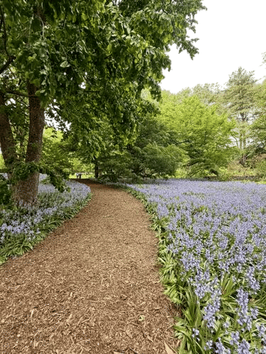 brooklyn botanic garden