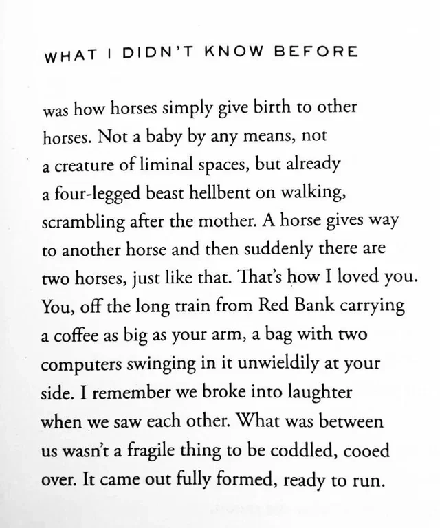 What I Didn’t Know Before by Ada Limón