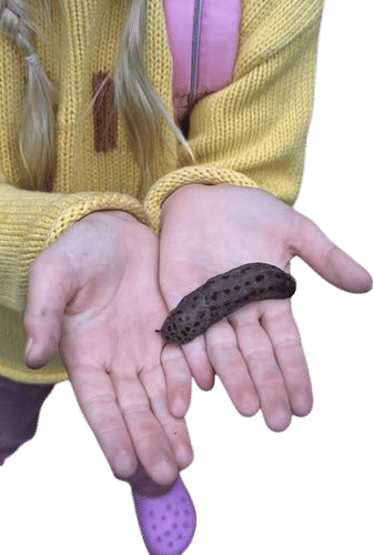Teach Your Kids to Love Slugs