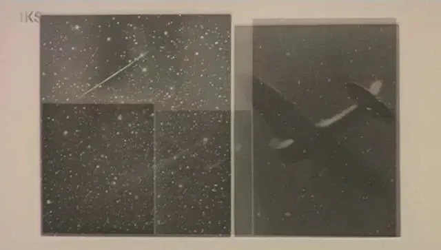 Vija Celmins: Desert, Sea and Stars