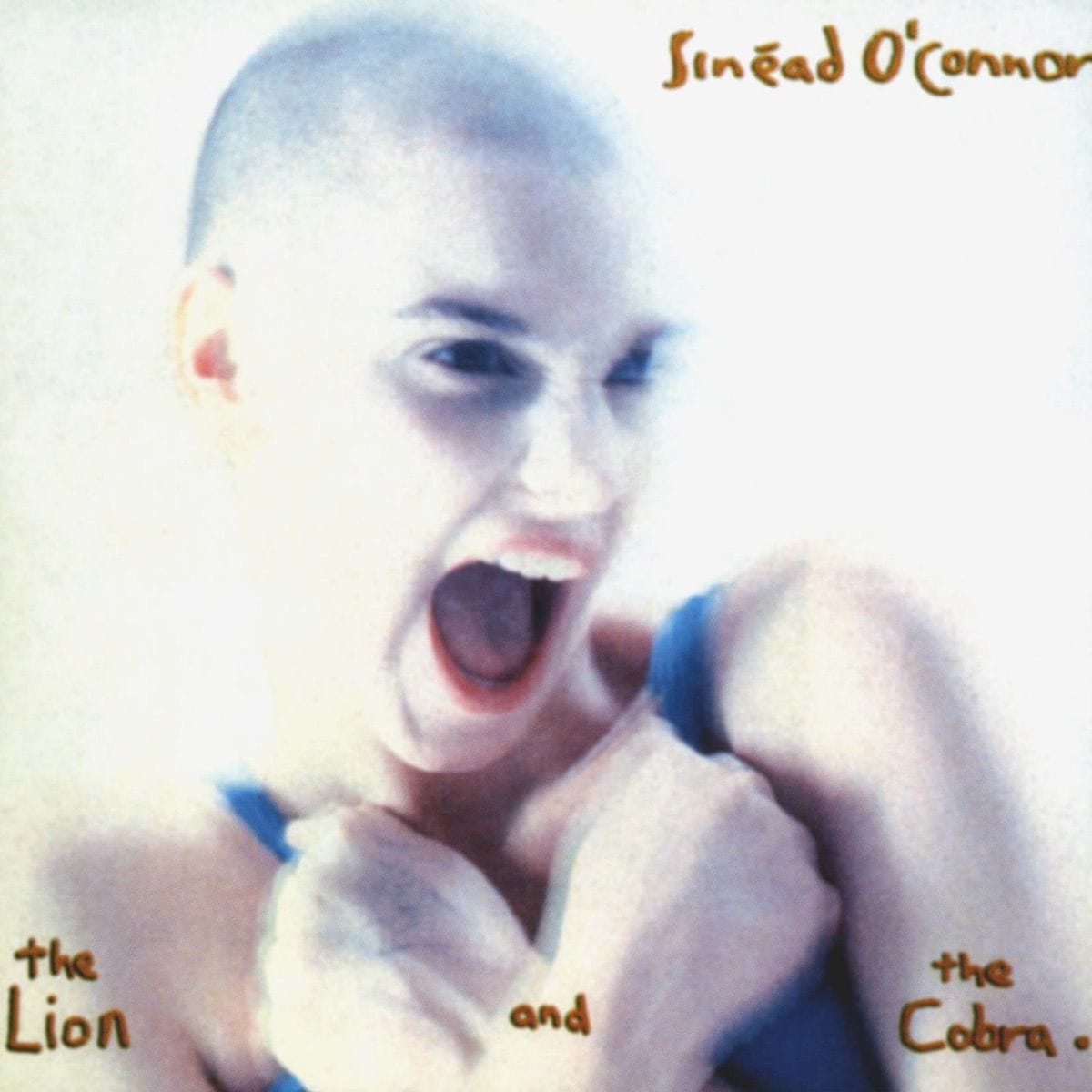 Sinead O’Connor’s first album is great, imo… gritty, emotional, etc