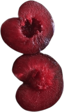 spring cherries