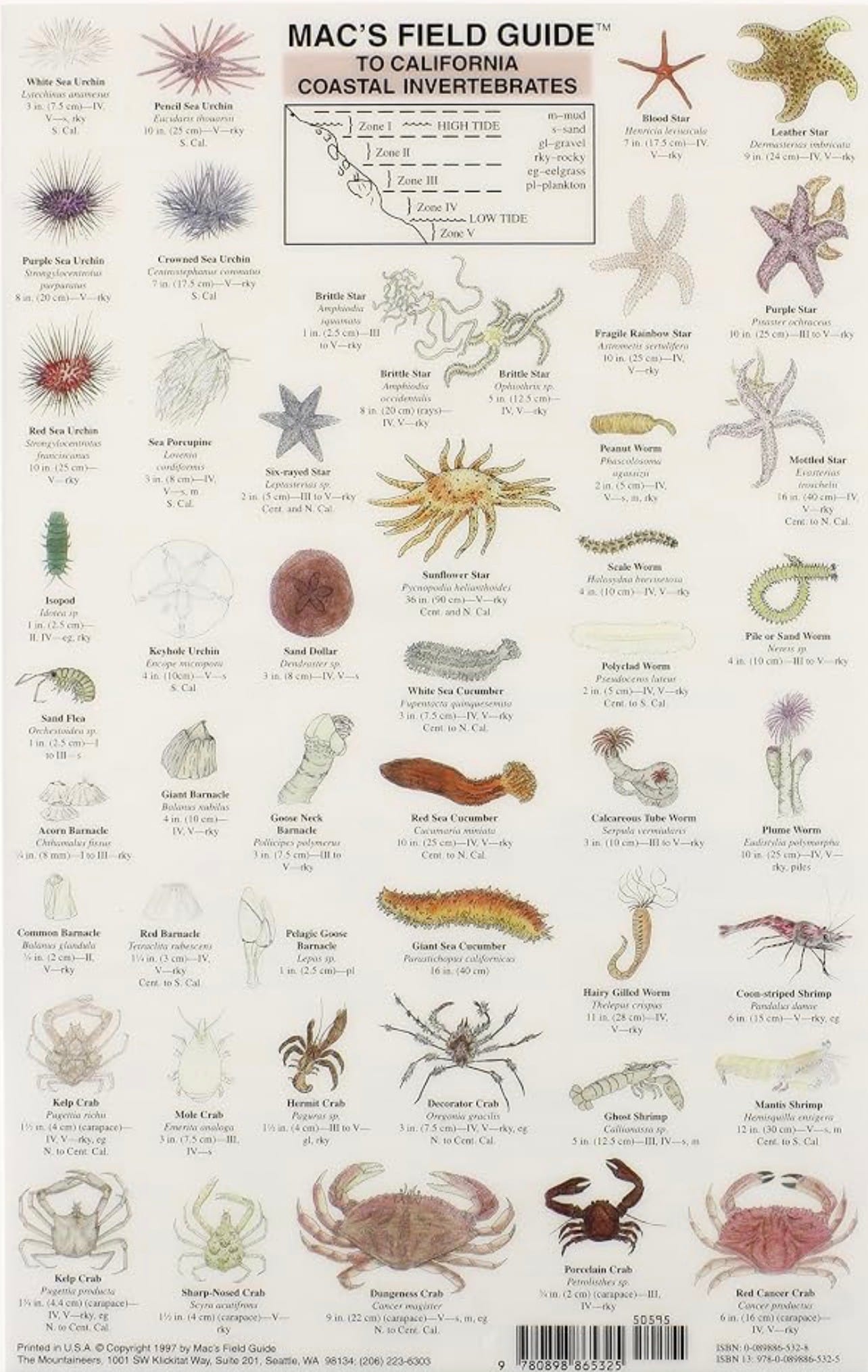 MAC’S FIELD GUIDE by Craig MacGowan