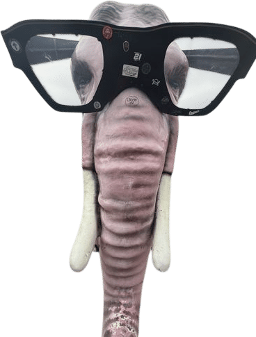 Pinky the Elephant