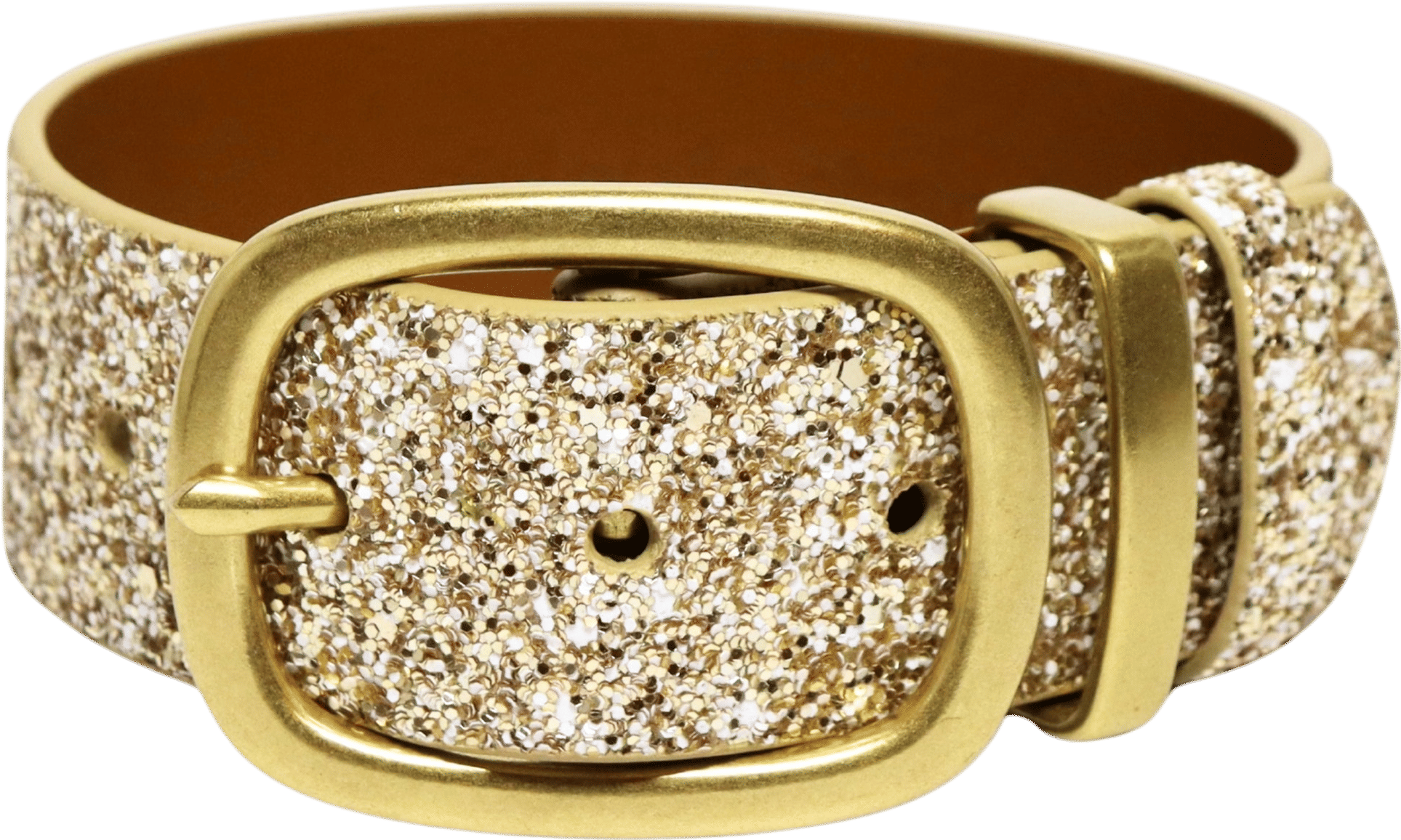 Girl and a Stray Dog