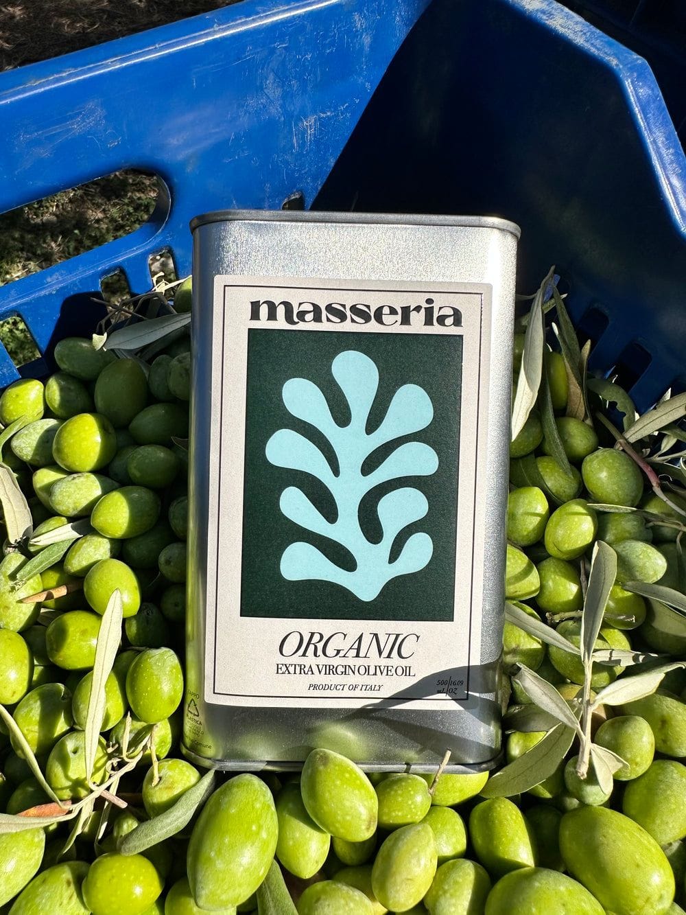 Masseria Estate Organic Extra Virgin Olive Oil