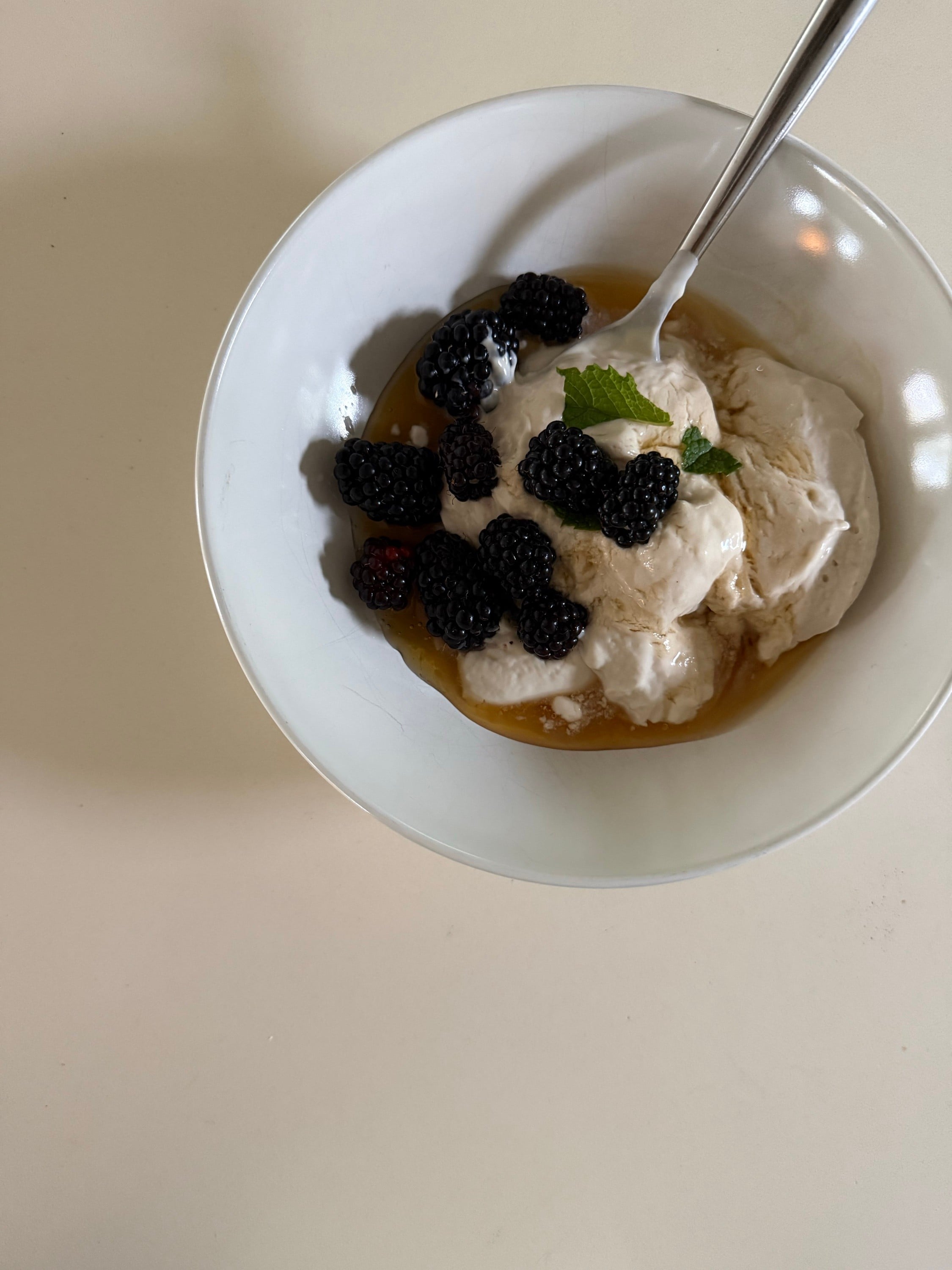 Forager Yogurts