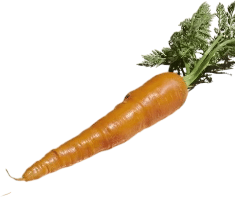 Eating an entire carrot