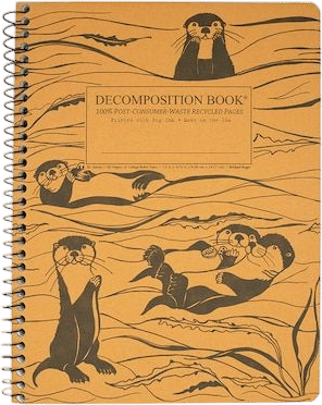 Morning Pages in a Spiral Decomposition Book