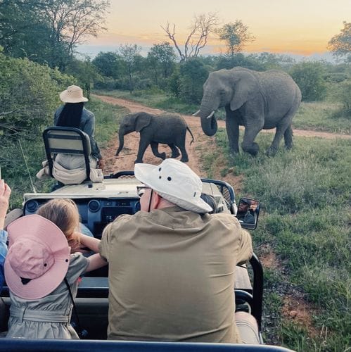 travel instead of presents for christmas