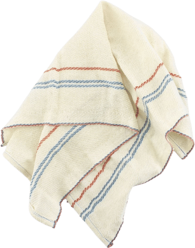 Set of 4 Cotton Napkins