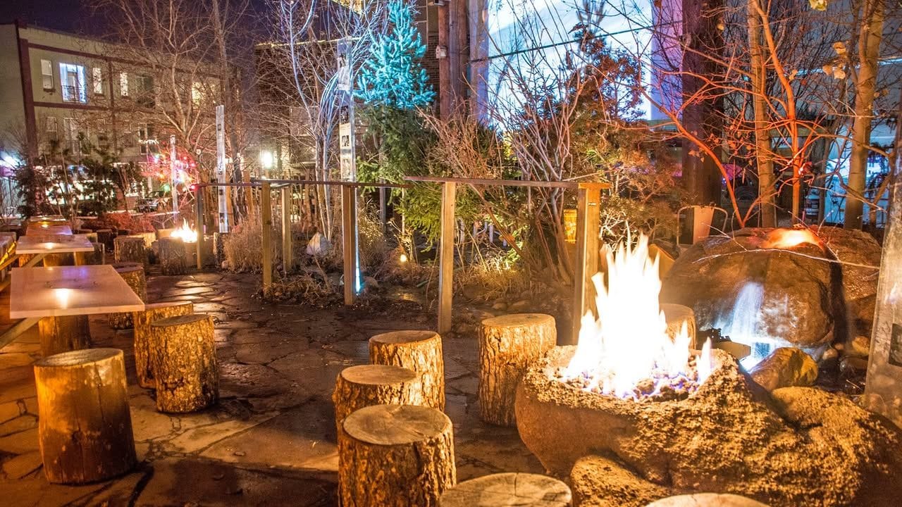 forest room 5 denver