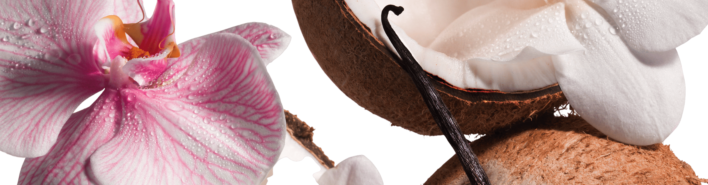 saltair pink sands body butter