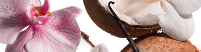 saltair pink sands body butter