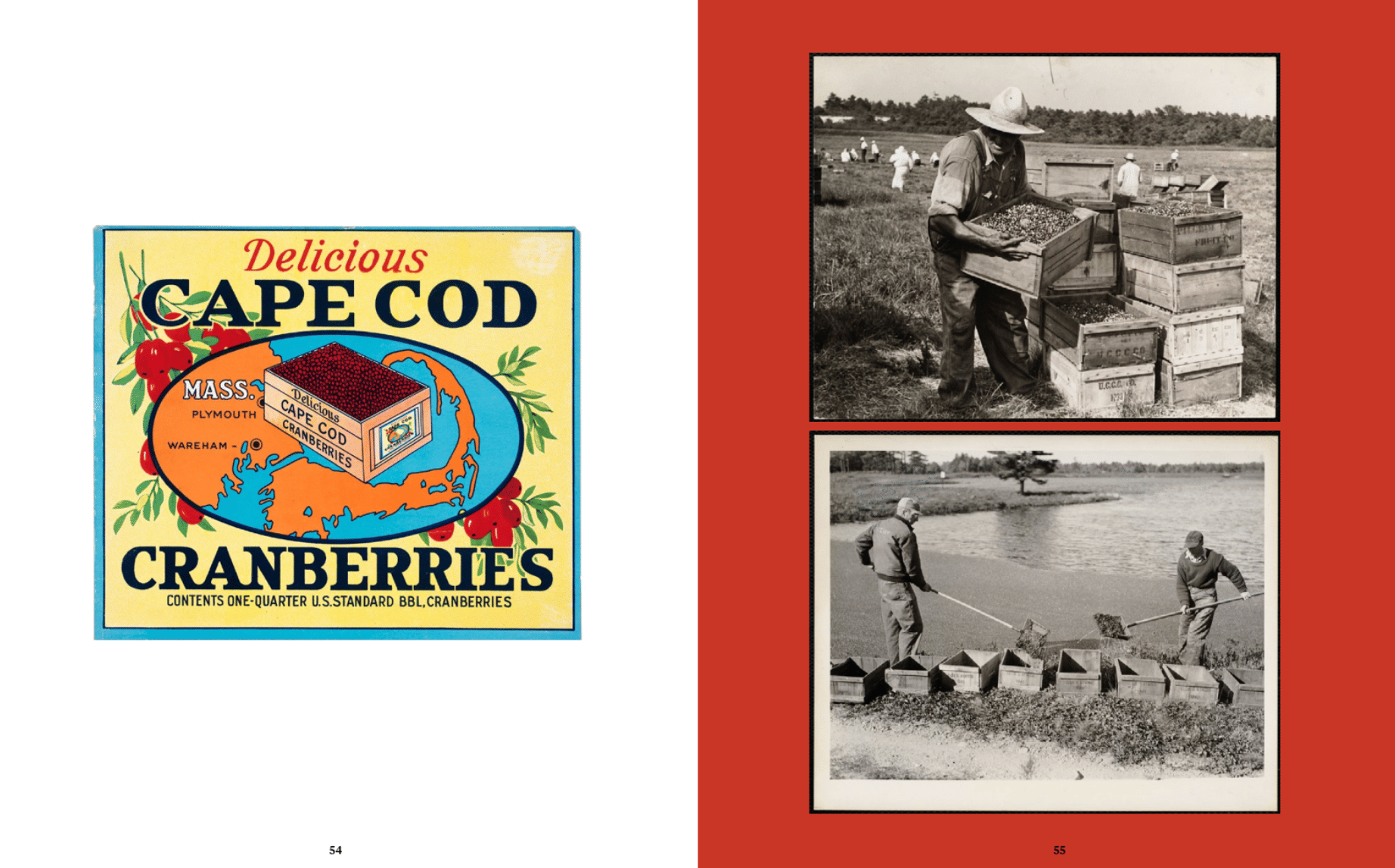 Happier, Stupider Times: Anthony Bourdain’s Provincetown Years