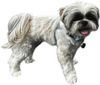 “woof”