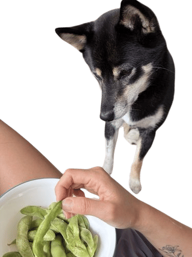 Sharing your snacks