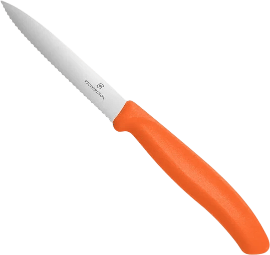 Mini Serrated Knife