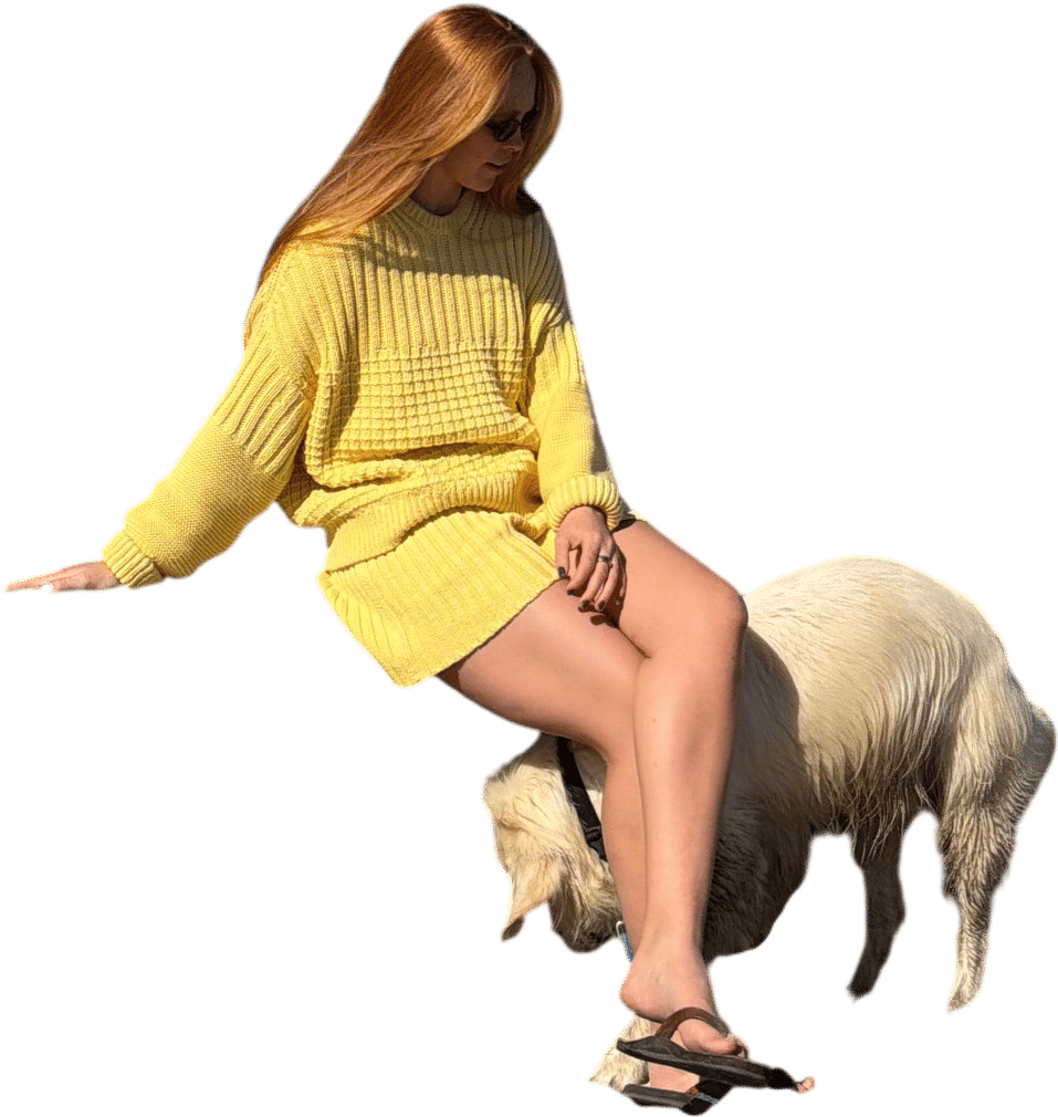 The Knotty Ones Lemon Cotton Sweater & Shorts Set