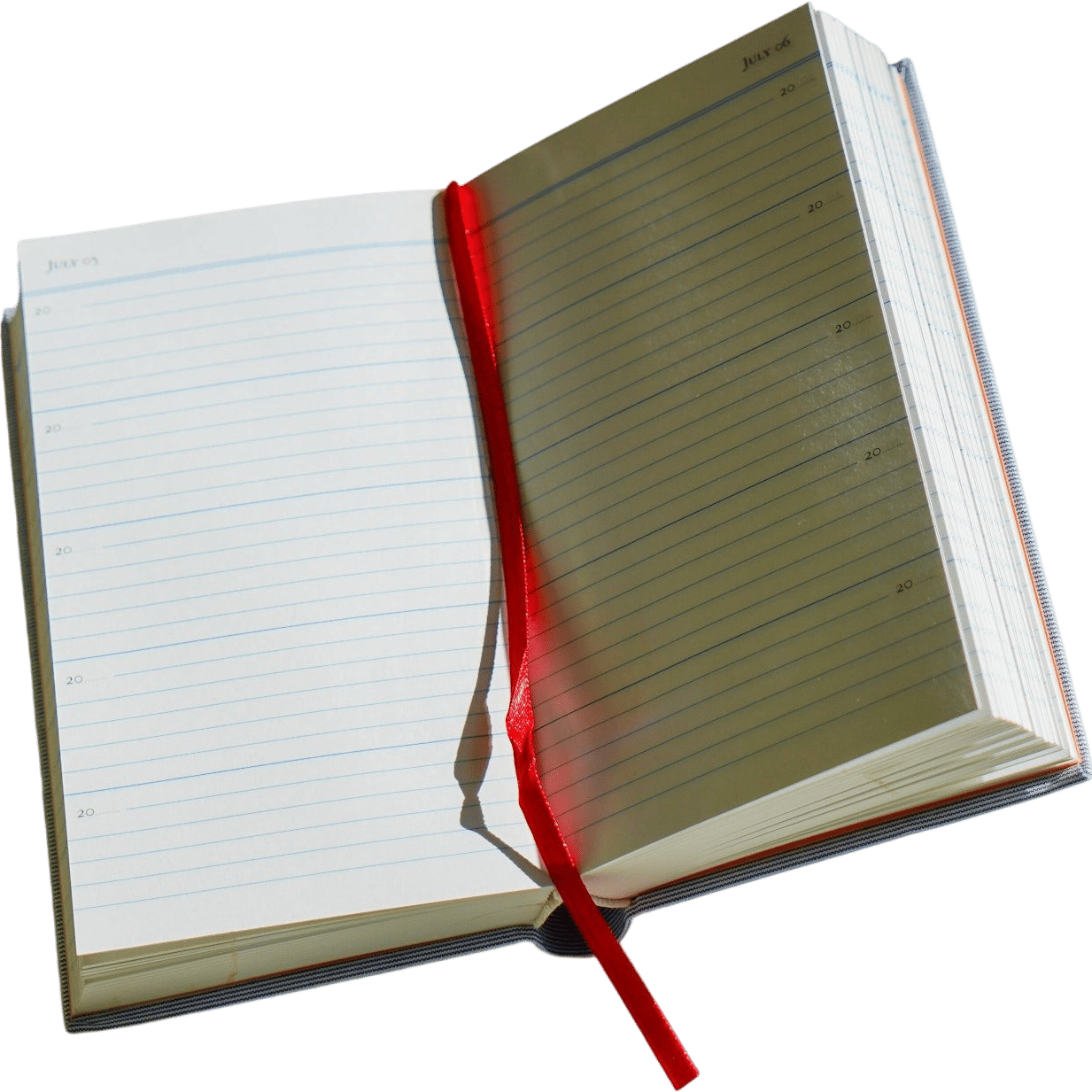 5 Year Diary