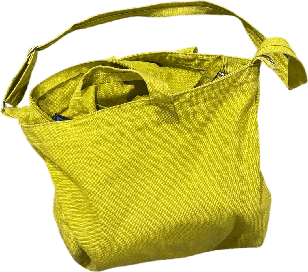 Baggu Horizontal Duck Bag