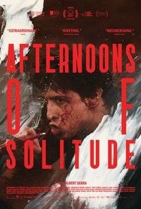 afternoons of solitude