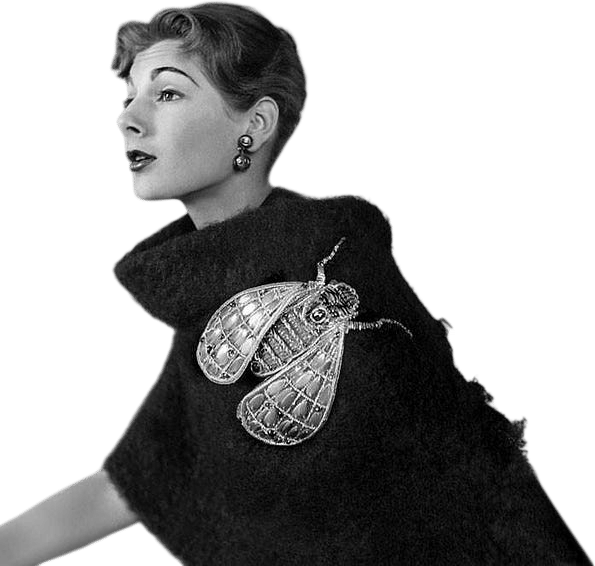 Shocking! The Art and Fashion of Elsa Schiaparelli (Dilys Blum)